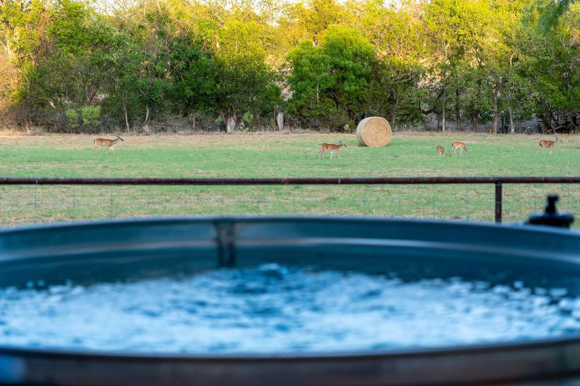 Container Haus Pet Friendly With Cowboy Pool Βίλα Φρέντερικσμπεργκ Εξωτερικό φωτογραφία